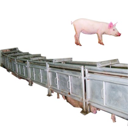 用于屠宰场清真屠宰线的耐用生猪屠宰机屠宰场设备