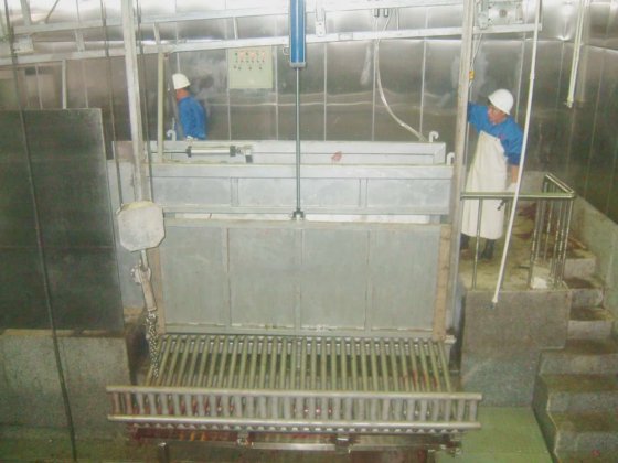 用于牛肉加工厂的清真屠宰场牛屠宰设备胴体收集格栅牛屠宰机