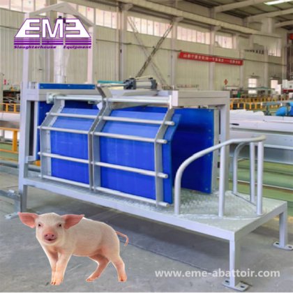 Stunning Time 4s Living Pig