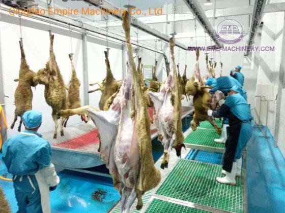 中国製 カスタマイズデザイン 羊とヤギの移動式屠殺設備 高品質の屠殺場用機械