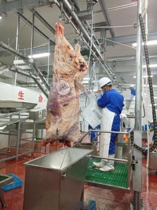 牛肉加工用の畜産屠殺場設備、肉屋用コンベヤー