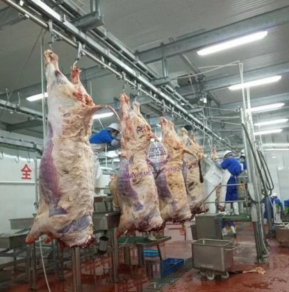 牛肉加工用の畜産屠殺場設備、肉屋用コンベヤー