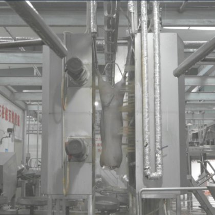 380V 自動豚洗浄装置 肉処理機械 食肉処理設備