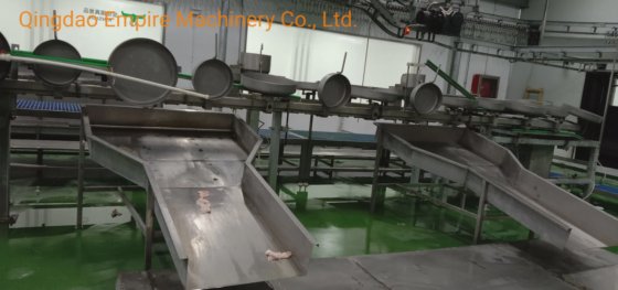 用于屠宰场肉类加工机械的检疫输送机绵羊屠宰场