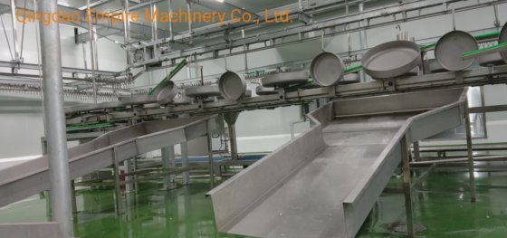 用于屠宰场肉类加工机械的检疫输送机绵羊屠宰场