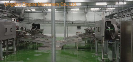 用于屠宰场肉类加工机械的检疫输送机绵羊屠宰场