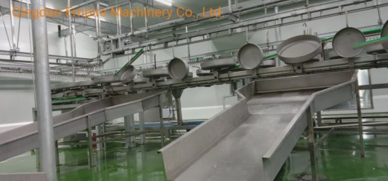 用于屠宰场肉类加工机械的检疫输送机绵羊屠宰场