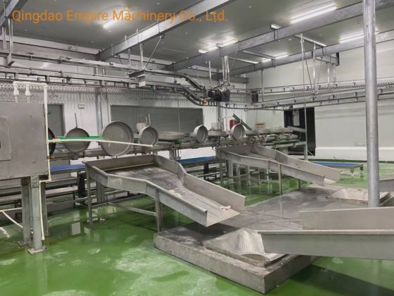 用于屠宰场肉类加工机械的检疫输送机绵羊屠宰场