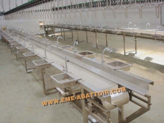 用于鸡屠宰场屠宰机械的耐用内脏滑槽屠宰设备