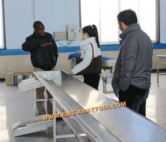 用于鸡屠宰场屠宰机械的耐用内脏滑槽屠宰设备