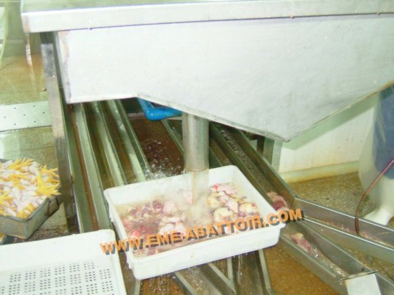 用于鸡屠宰场屠宰机械的耐用内脏滑槽屠宰设备