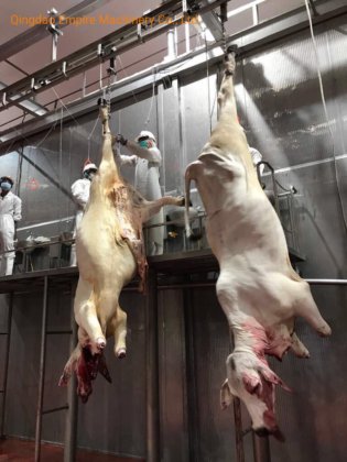 牛の自動搬送レール屠殺設備