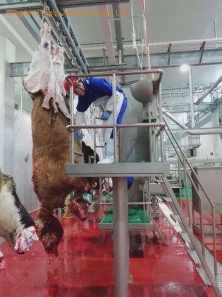 牛の自動搬送レール屠殺設備