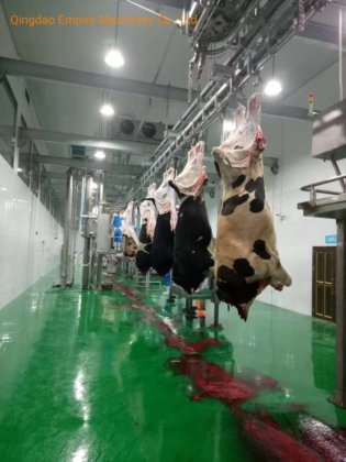 牛の自動搬送レール屠殺設備