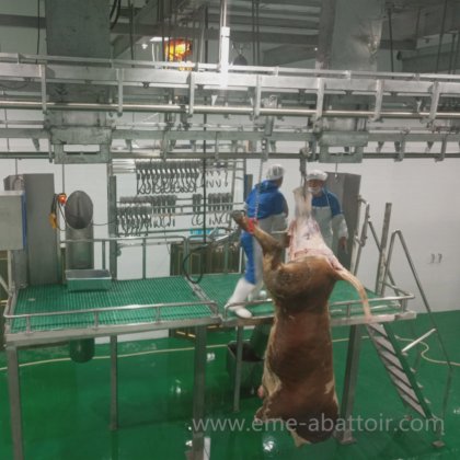 热销牛只冷藏自动输送轨道式屠宰场自动屠宰设备