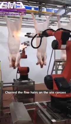 用于农业设备的牲畜屠宰场猪肉屠宰机械