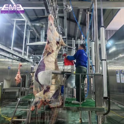 牛肉屠殺場の設備を設計し、肉加工機械を提供する