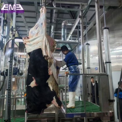 牛肉屠殺場の設備を設計し、肉加工機械を提供する