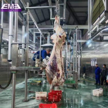 牛肉屠殺場の設備を設計し、肉加工機械を提供する