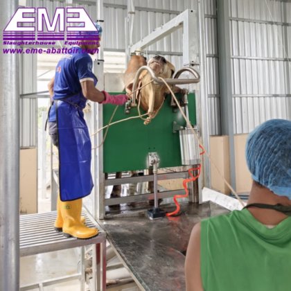 ハラール屠殺場屠殺機器 牛/豚/ヤギ 羊屠殺機械