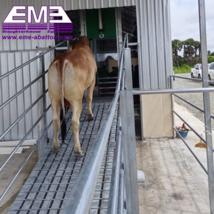 ハラール屠殺場屠殺機器 牛/豚/ヤギ 羊屠殺機械