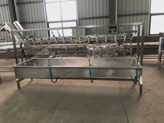 自動1000-2000 鳥類 一日 養鶏機 殺処理