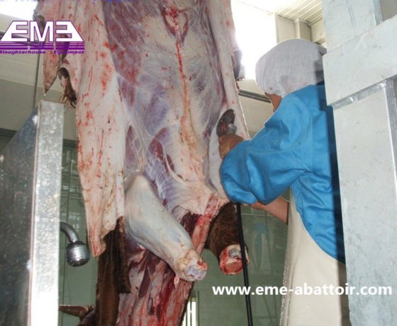 家畜牛屠殺ラインハラール殺戮ボックス牛屠殺場肉屋設備