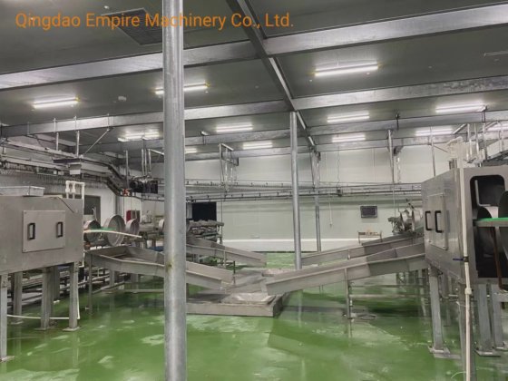 地面タイプの白と赤の内臓同期隔離屠殺設備