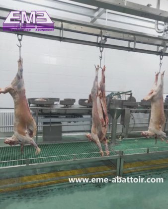 用于山羊羊驼屠宰场的专业绵羊屠宰机 活羊清真屠宰箱屠宰设备