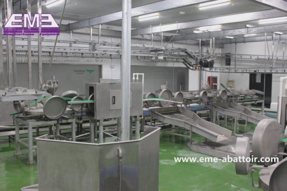 用于屠宰场机器的 Eme 工厂价内脏滑槽屠宰设备