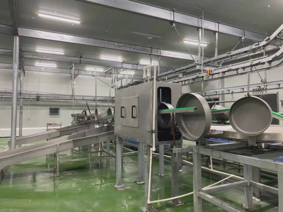 用于屠宰场机器的 Eme 工厂价内脏滑槽屠宰设备