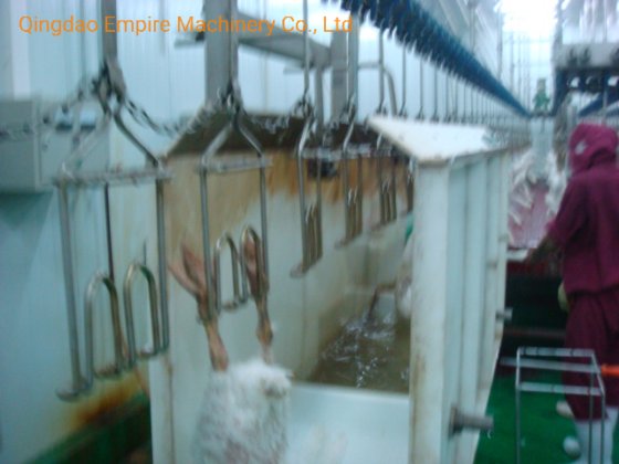 エメアバトワール機器 生きた家禽のスタンニングマシン 食肉処理場用機器