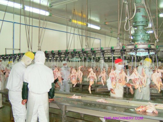 鶏とアヒルのガチョウ屠殺ライン設計機械家禽屠殺場設備販売