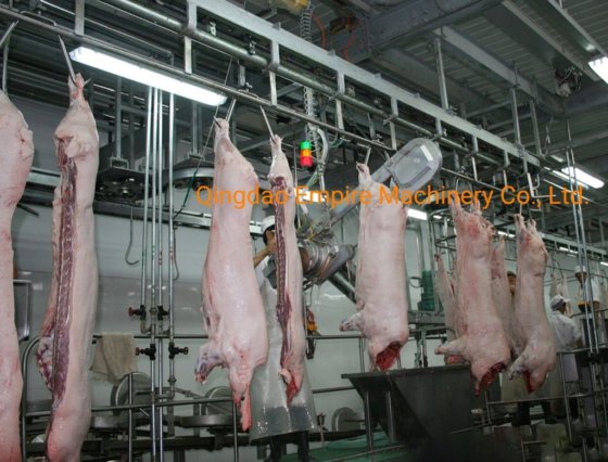 肉类加工生产线 猪胃/三合一清洗机 屠宰设备