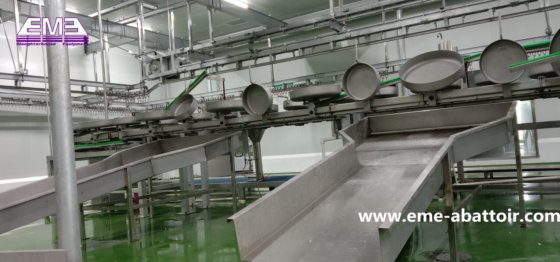 不锈钢内脏滑槽绵羊山羊驼屠宰场设备