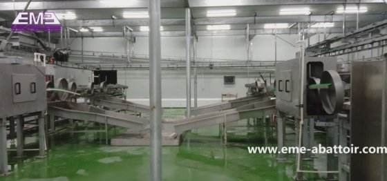 不锈钢内脏滑槽绵羊山羊驼屠宰场设备