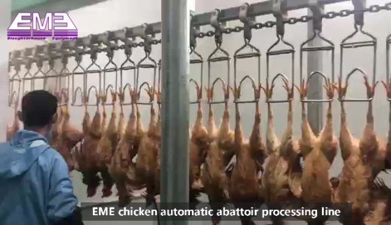 用于家禽屠宰场的家禽吸肺吸肾屠宰设备 鸡屠宰线