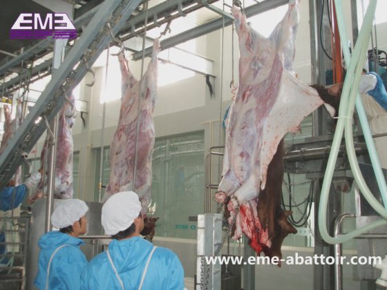 簡単で操作が容易な牛皮用油圧プラー、家畜屠殺ライン、屠殺設備、食肉処理場用機器