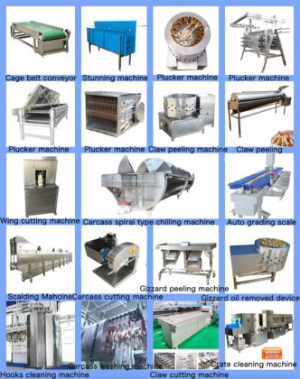 500-600 鶏肉 一日 殺処分場 羽毛取り