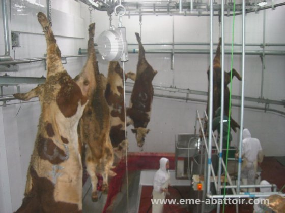 牛肉屠殺ライン屠殺機械食肉処理設備