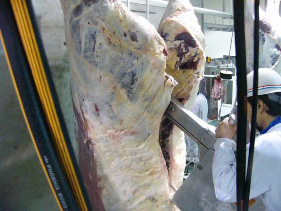 牛肉屠殺ライン屠殺機械食肉処理設備