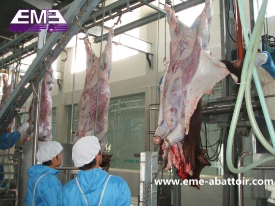 ステンレス鋼製前脚固定杭家畜屠殺設備家畜肉処理屠殺機械