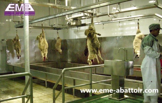 胴体接收槽 用于绵羊屠宰加工线的绵羊屠宰房设备