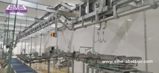 地面タイプの白と赤の内臓同期隔離搬送機械屠殺設備