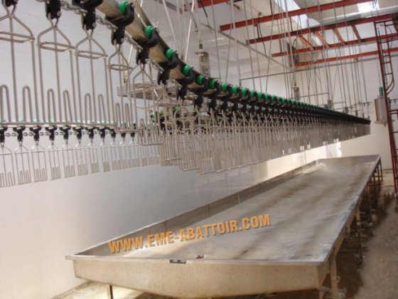 304stainless 鋼製鶏血収集タンク 家禽屠殺設備 屠殺場用