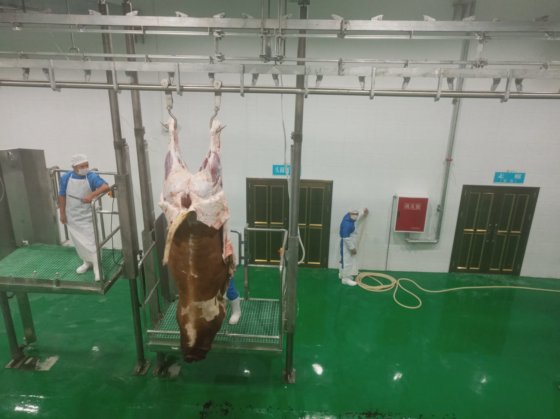 空気圧制御専門の牛肉処理設備 皮剥ぎエレベーター 殺戮機械 牛用