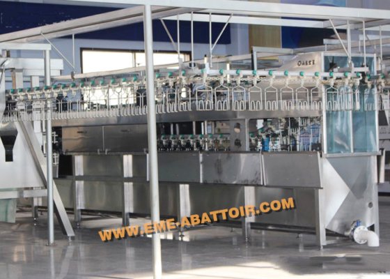 鸡鸭鹅屠宰场机器 脱毛机 家禽屠宰场屠宰设备