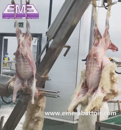 屠殺場 羊 山羊 羊肉 屠殺機器