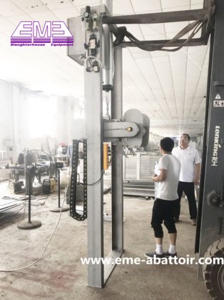 100 只羊/小时 自动立式拉皮机 屠宰场设备 牲口屠宰过程