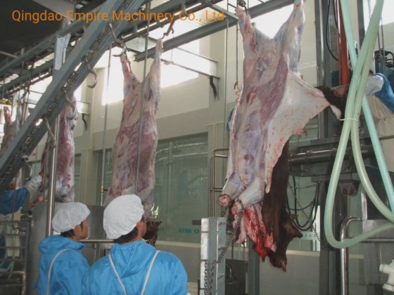 牛皮ベルトコンベヤー機械 食肉処理機器